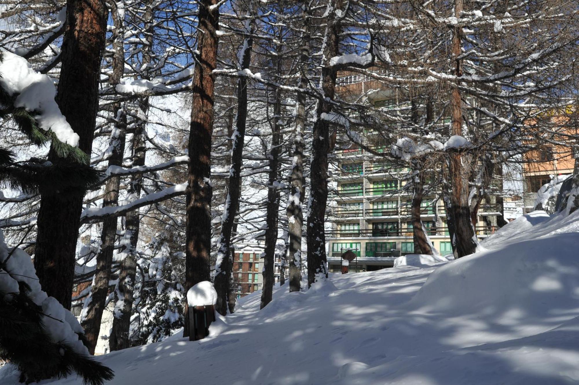 Mollino Rooms Breuil-Cervinia Dış mekan fotoğraf