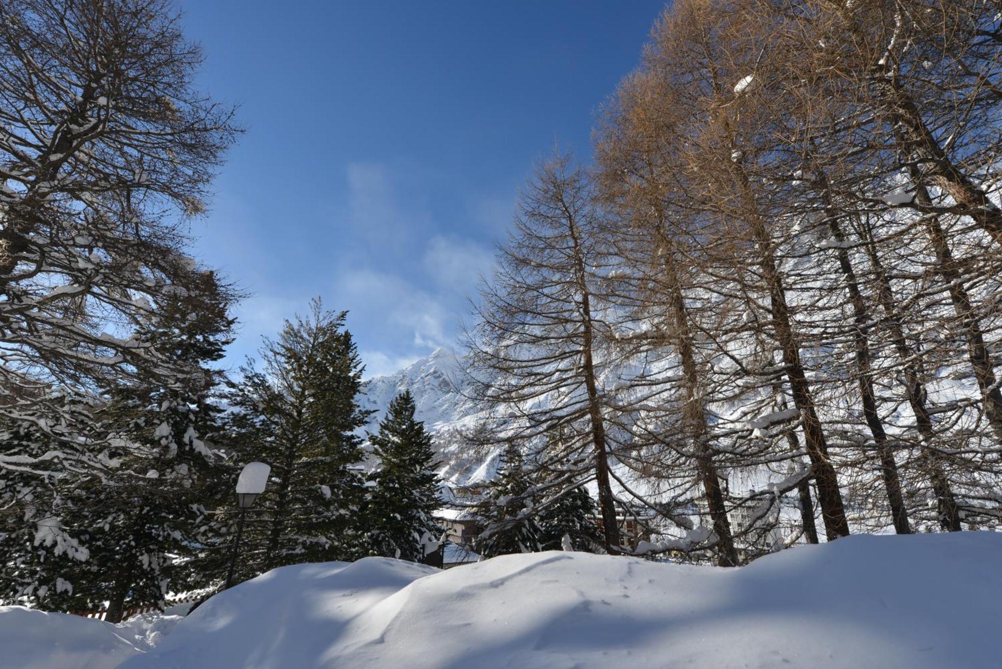 Mollino Rooms Breuil-Cervinia Dış mekan fotoğraf